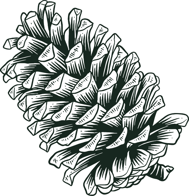 The Pine Cone Group pine cone mark
