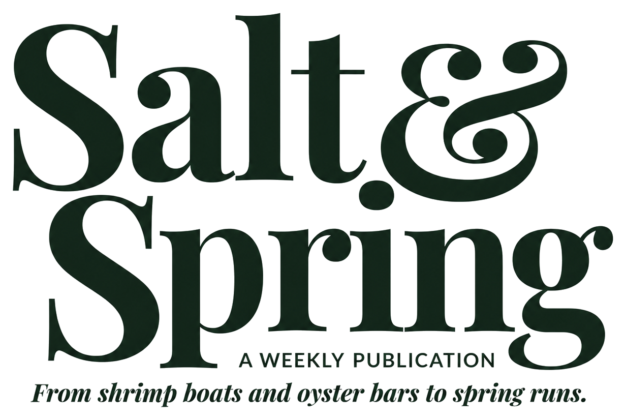 Salt & Spring